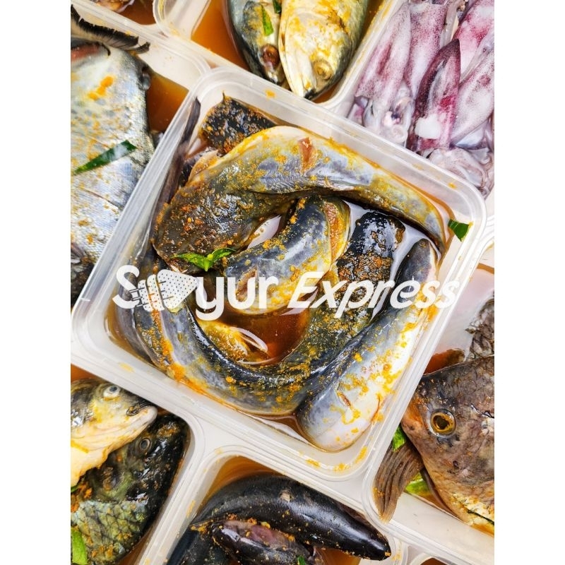 

KIRIM INSTAN Lele Bumbu Kuning 10 ekor