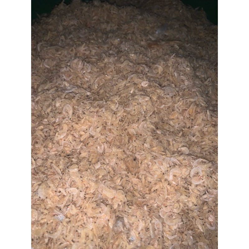 

udang rebon asin kering asli enak wangi murah meriah