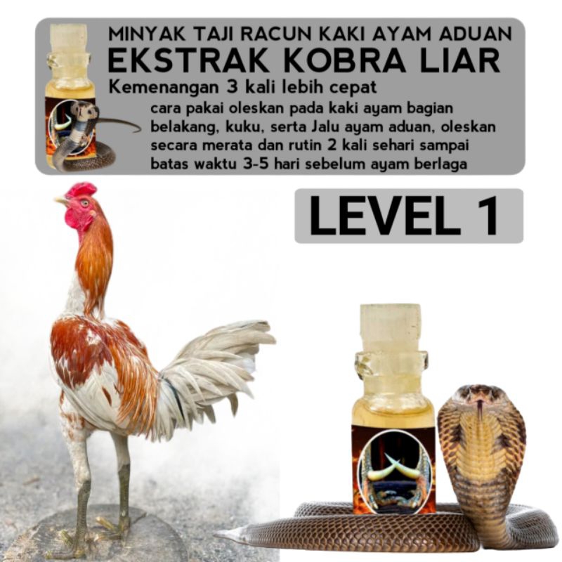 racun kuku kaki ayam Bangkok aduan