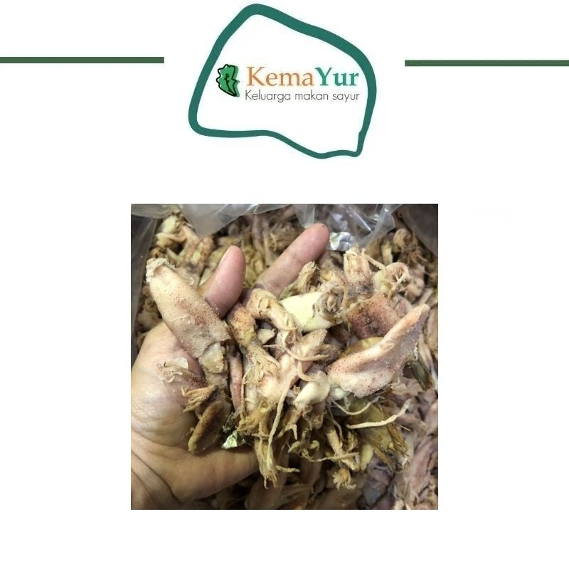 

BABY CUMI KUALITAS SUPER MURAH 100 GR