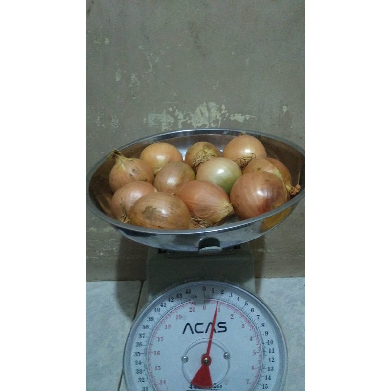

Bawang bombay 1 kg