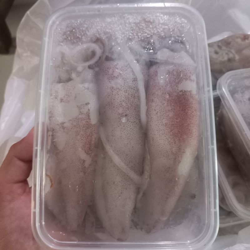 Cumi Sero Fresh Frozen