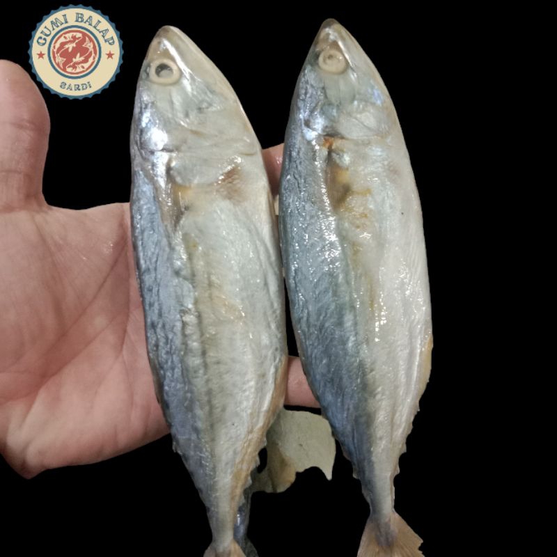 

ikan peda putih/ikan kembung putih/ikan asin peda putih