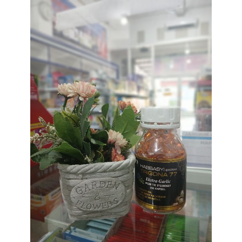 Habbasyi Ekstrak Garlic Trigona 77 200 kapsul