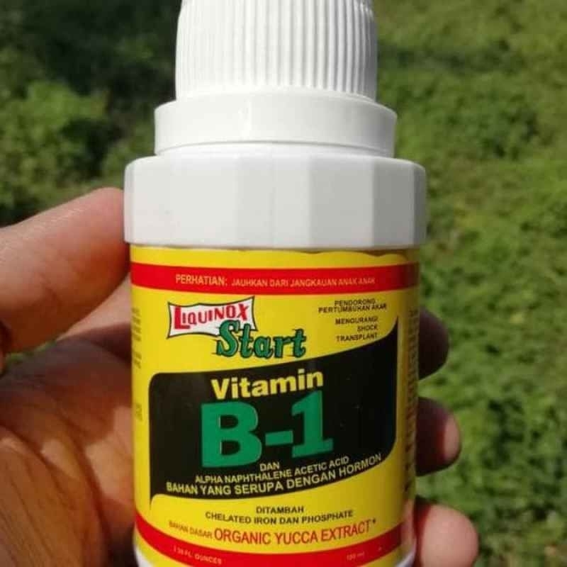 obat vitamin B1 anti stres