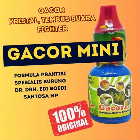 Gacor Mini Dr edhi vitamun burung meningkatkan kualitas gacor