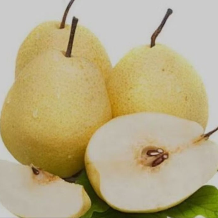 

Sweat Pear Segar Manis Sehat Mengkal Matang 1kg.
