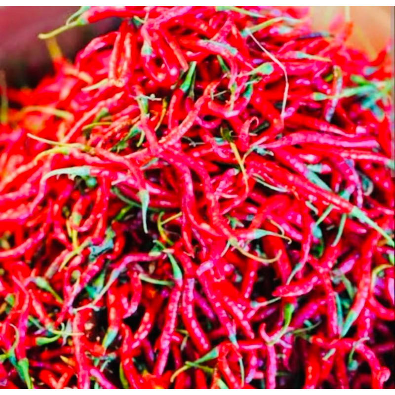 

cabai keriting merah 100gram