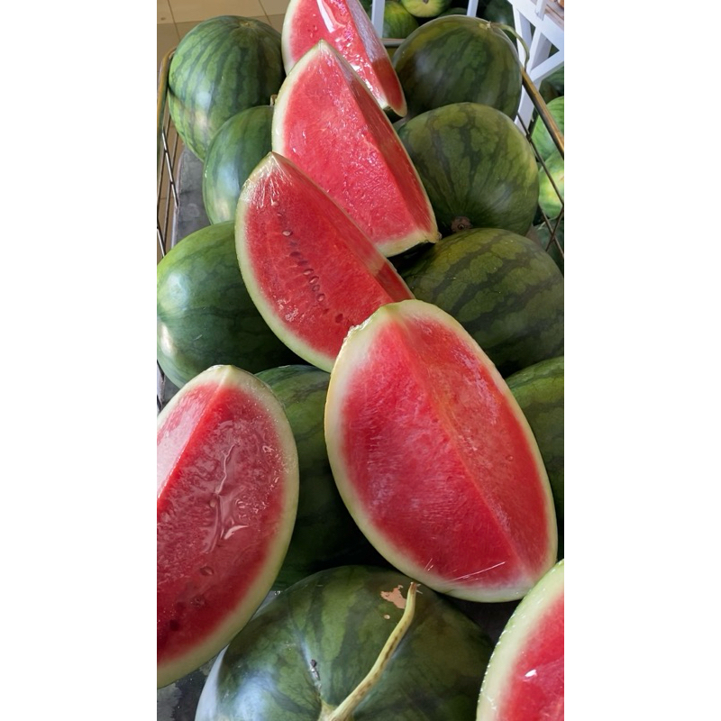 

Semangka Grade A non biji