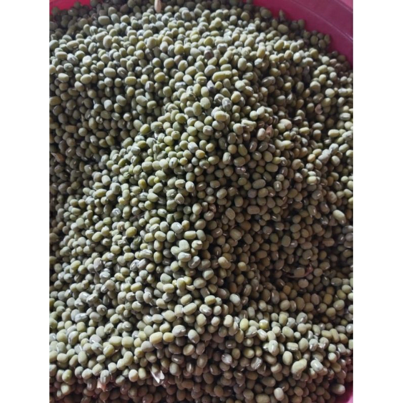 

Kacang Hijau Super 250 gr Kacang Hijau Enak 250 gram