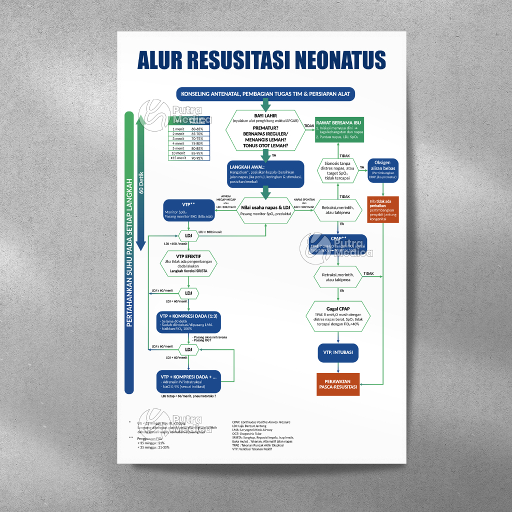 Poster Kesehatan Alur Resusitasi Neonatus A3+ / Gambar Edukasi Kebidanan Tata Laksana Pertolongan Pe