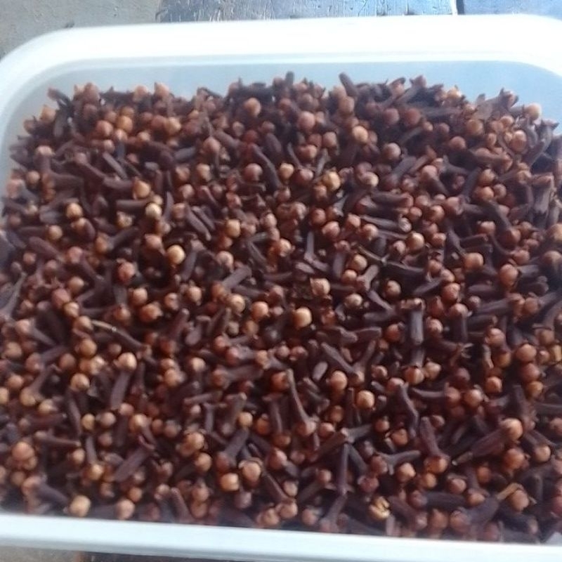 cengkeh kering super grade A/premium kualitas oke berat cengkeh 1700g