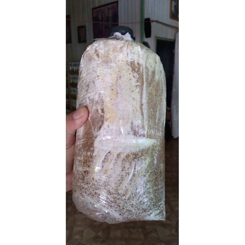 

Media tumbuh jamur/baglok jamur