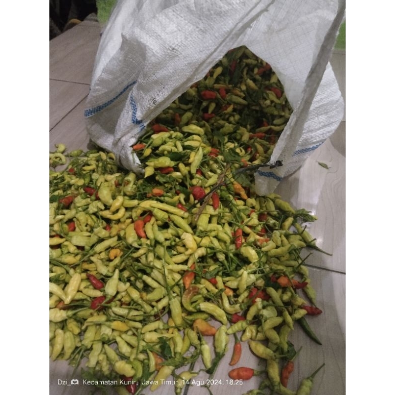 

CABE RAWIT PUTIIH 7.000