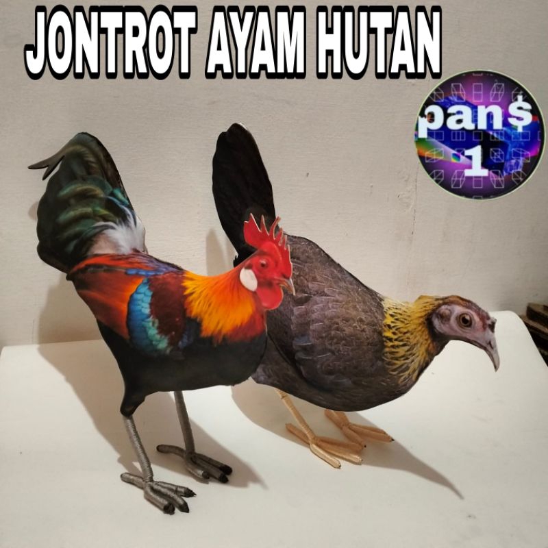 boneka patung jontrot ayam hutan