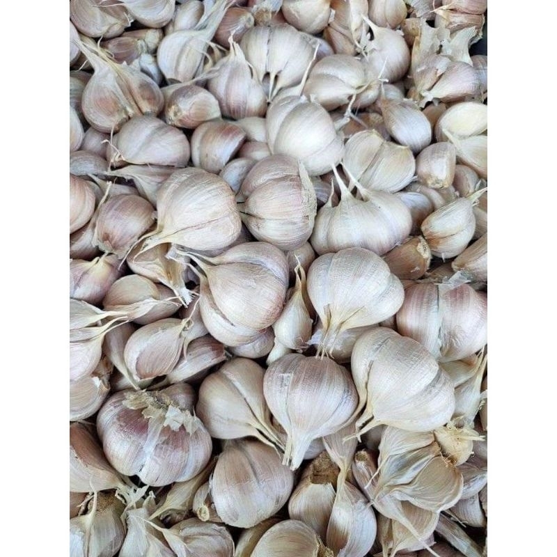 

Bawang putih kating 100% ASLI 500g