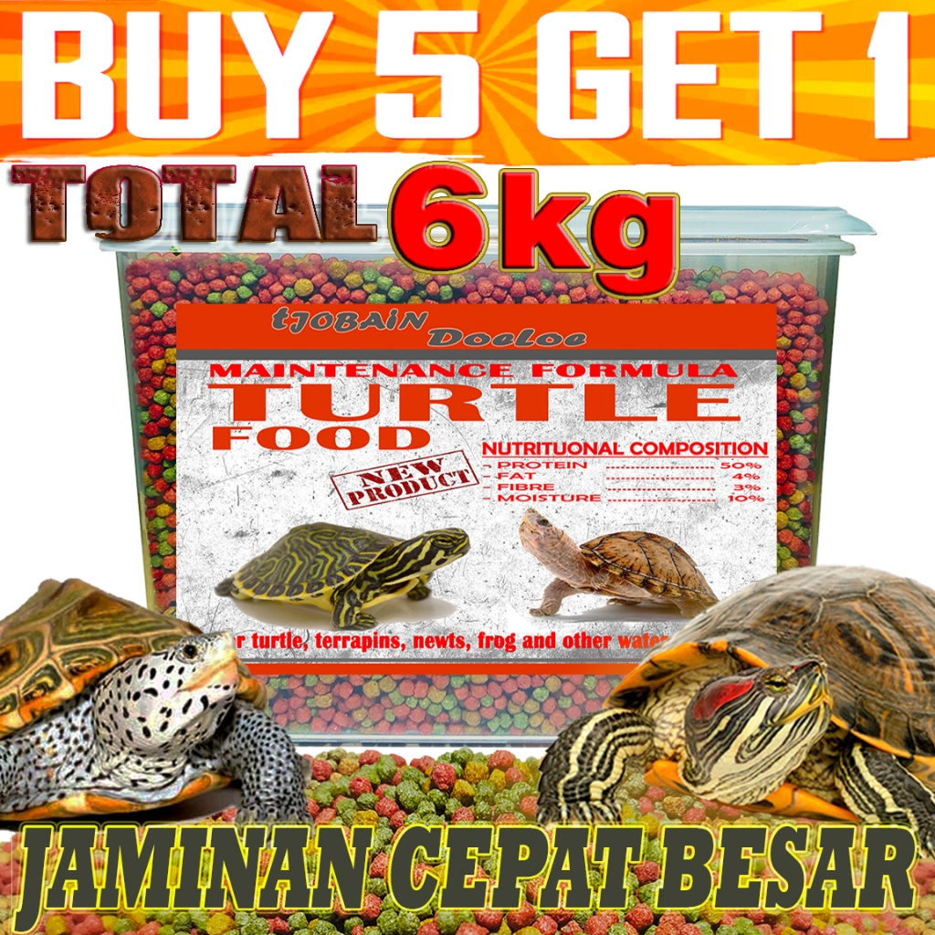 TURTLE PELET FOOD MAKANAN PAKAN KURA KURA AIR BRAZIL RES PACMAN REPTILE AIR 1KG PELET MULTI COLOR CS