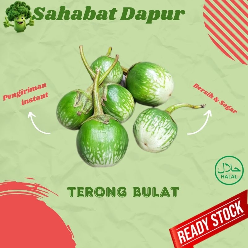 

Terong Bulat Hijau - Lalapan - Sayur Segar - Sahabat Dapur Delivery