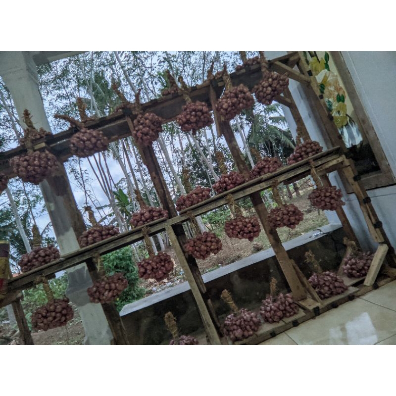 

BAWANG MERAH PROBOLINGGO SUPER