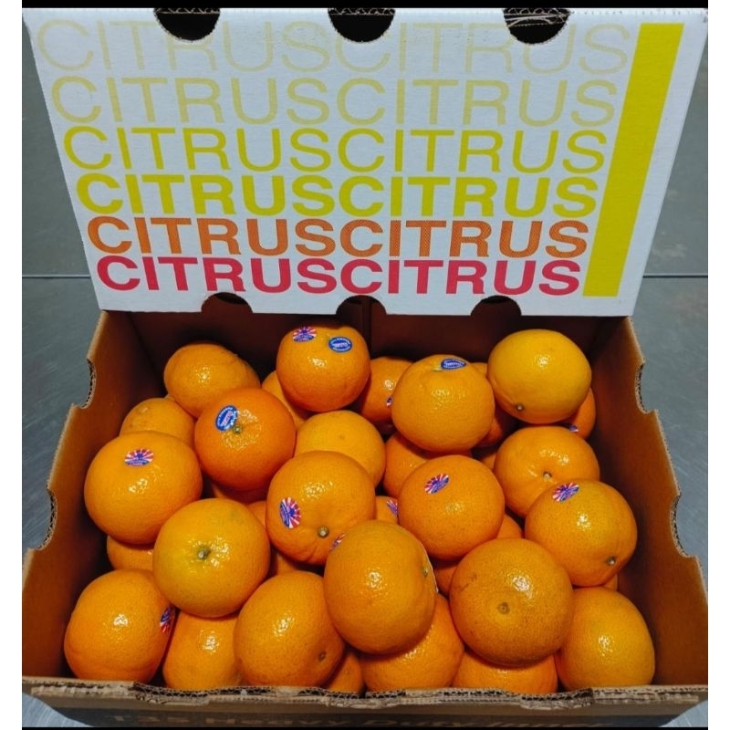 

buah jeruk murcot Australia per dus 9kg buah