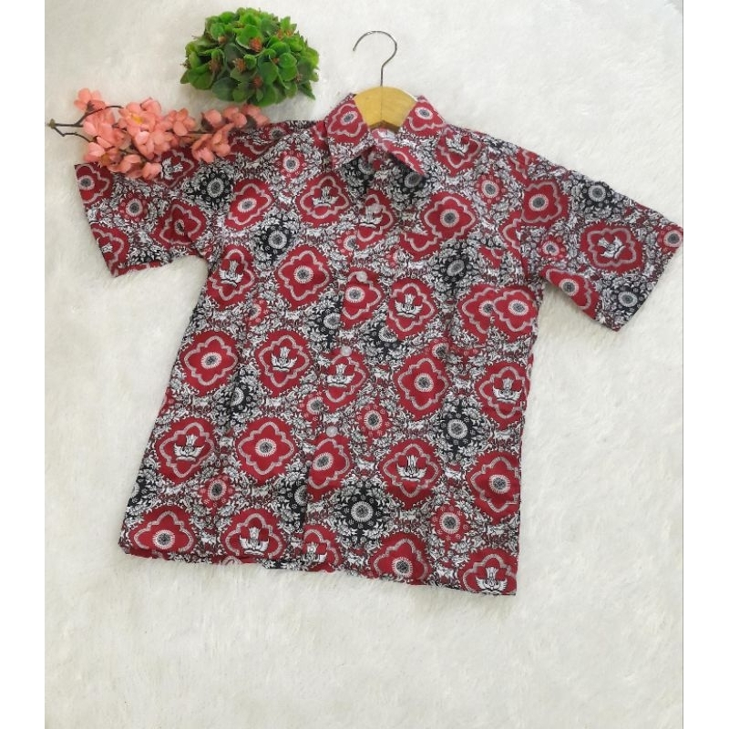 Batik Seragam Sekolah / Batik SD / Kemeja Batik Sekolah tangan pendek