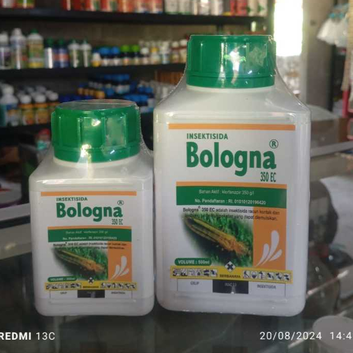 BOLOGNA 350EC INSEKTISIDA ULAT GRAYAK KUTU DAUN CABAI BAWANG MERAH GUREM