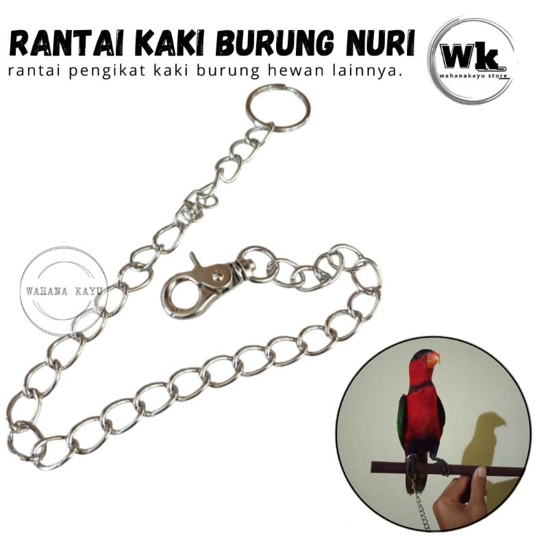 TALI RANTAI BURUNG NURI KAKAKTUA | RANTAI PENGIKAT KAKI BURUNG HEWAN LAINNYA