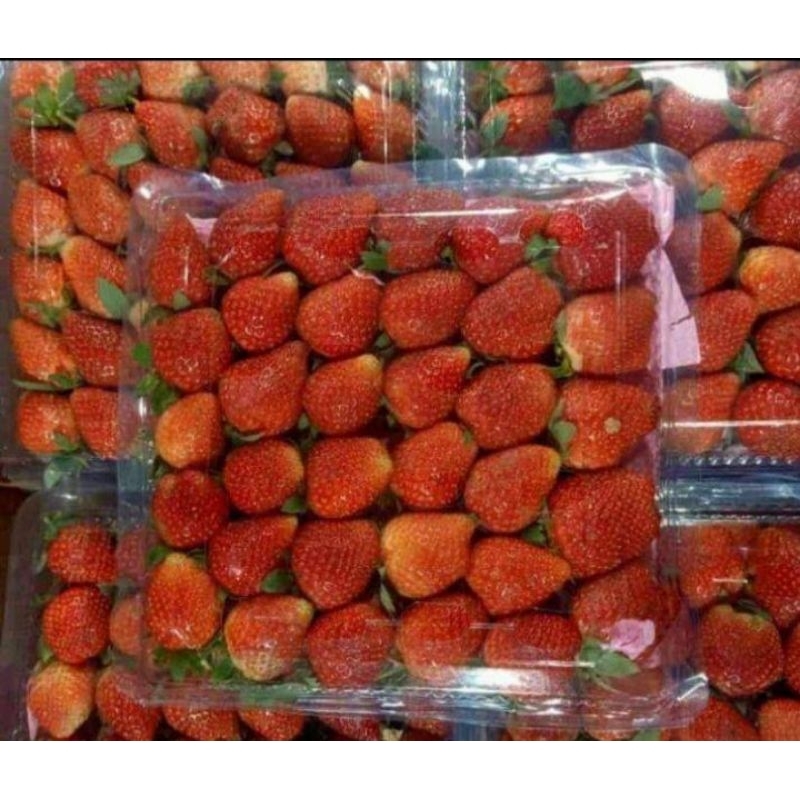 

Strawberry fresh -+900 gr