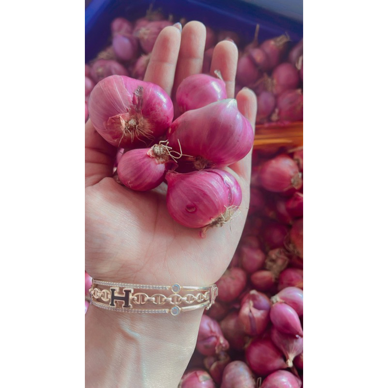 

bawang merah super 18rb