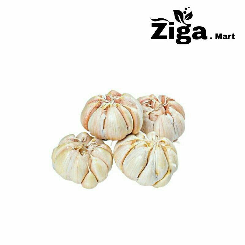 

Bawang Putih Utuh Segar Berkualitas
