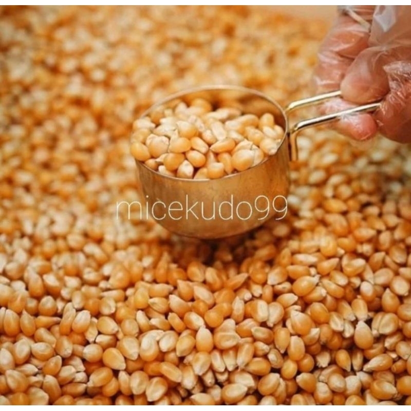 

JAGUNG POPCORN PREMIUM NON GMO MENTAH / RAW 500GR