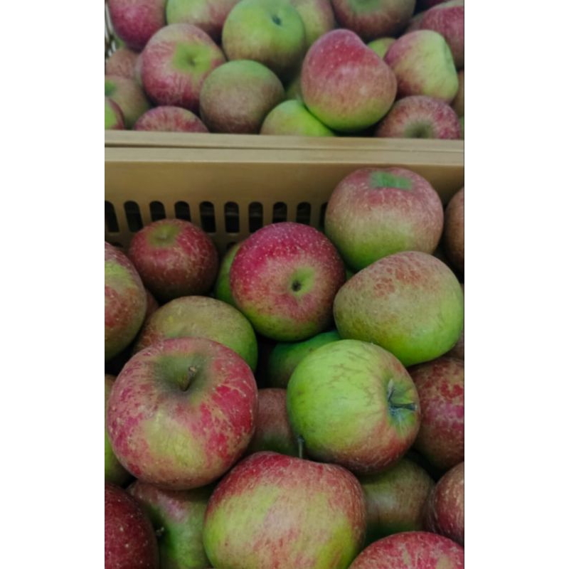 

apel Roombeauty ukuran 9-10