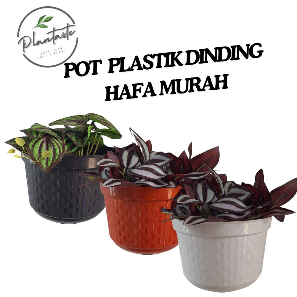 Pot Bunga Tanaman Hias Dinding Hafa | Pot Plastik Dinding | Plantaste