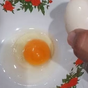 

telur ayam kampung warna orange kemerahan minimal pembelian 10