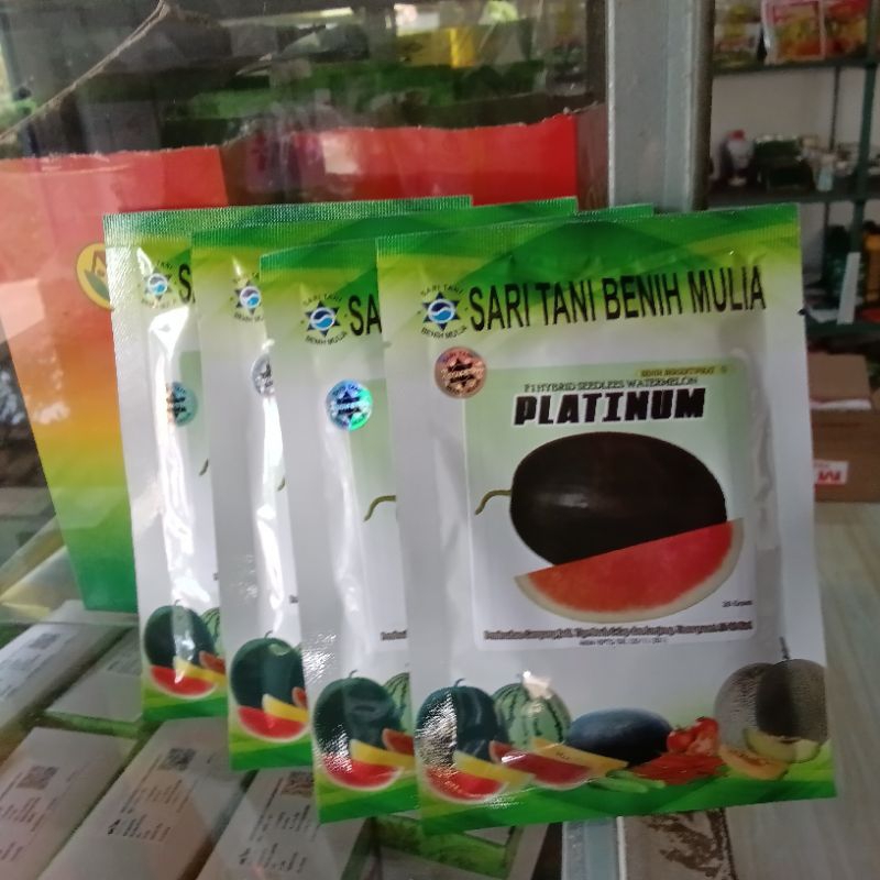 Benih Bibit Semangka Non Biji Platinum F1, Tipe jumbo Bangkok Lonjong dan Produksi Panen Melimpah. k