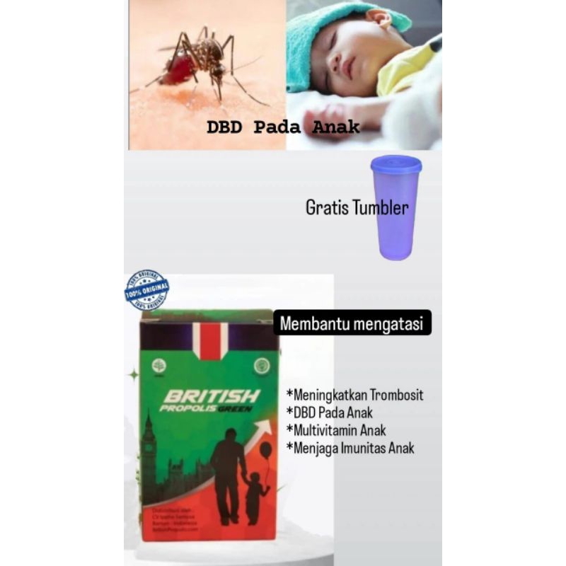 British Propolis Kids(Obat DBD Anak,Penambah Trombosit, Imunitas Anak)