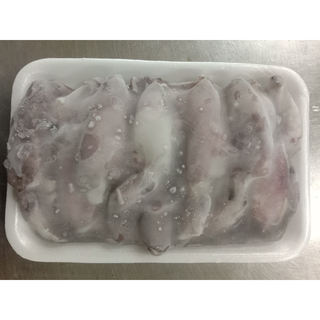 

Cumi Frozen size 5-8 @500gr-1kg