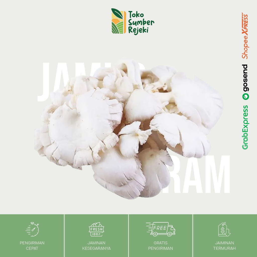 

Jamur Tiram Segar - Toko Sumber Rejeki Yogyakarta