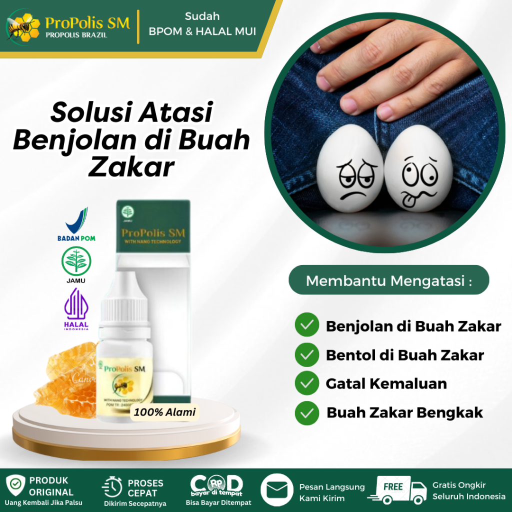 Obat Benjolan di Buah Zakar, Buah Zakar Bengkak, Benjolan di Kantong Buah Zakar, Benjolan di Kemalua