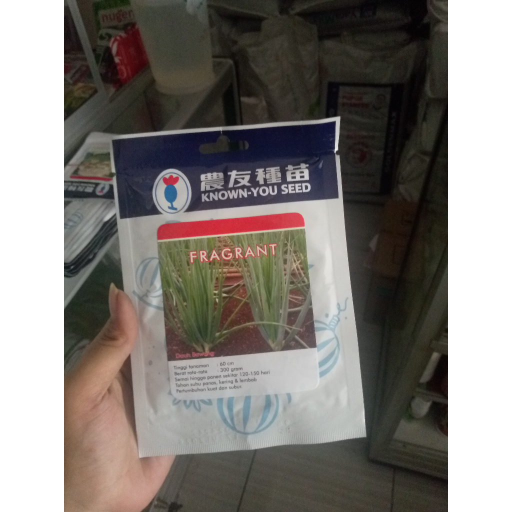 Benih Bawang Daun / Daun Bawang FRAGRANT Toleran Penyakit Bibit Sayuran Oncang Blaze Freda