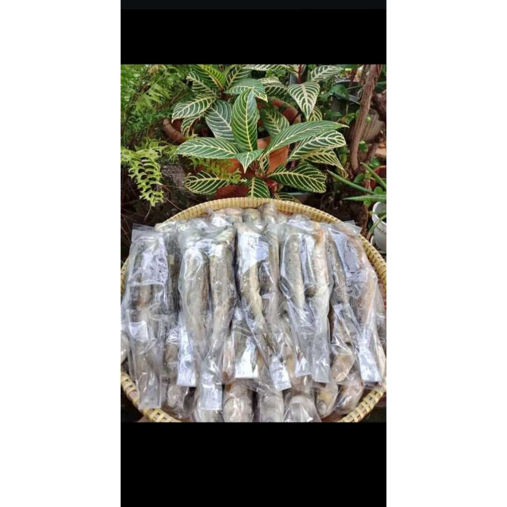 

OTAK OTAK BANDENG LEGEND ASLI JUWANA PATI ISI 1/2 SUDAH DI GORENG