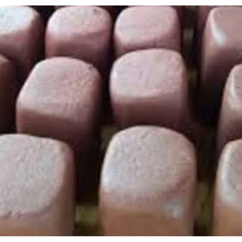 

terasi udang rebon asli khas sidoarjo