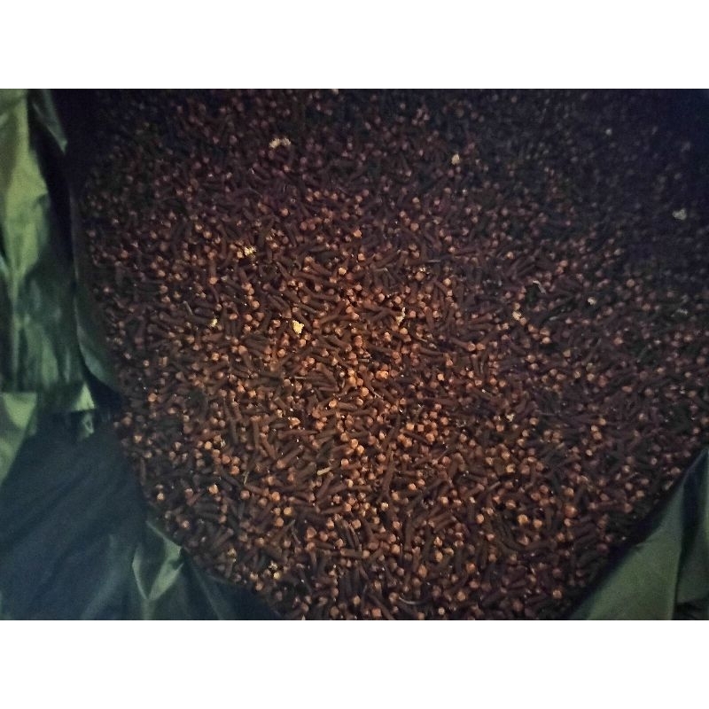 

Rempah Cengkeh Kering Berkualitas murni 500 gr