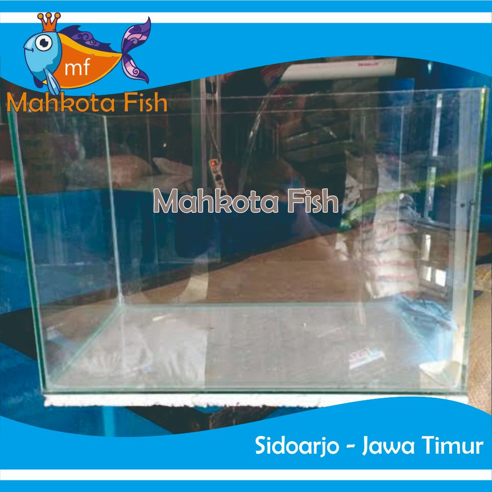 STEROFOAM GABUS | ALAS AQUARIUM | STEROFOAM LEMBARAN | (KHUSUS INSTAN)