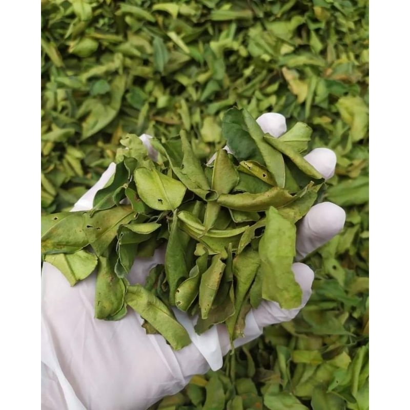 

Daun Jeruk kering 1/2kg