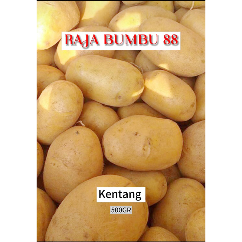 

KENTANG sedang 500gr,RB88