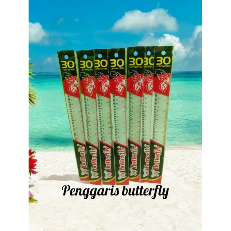 

Penggaris Butterfly 30Cm