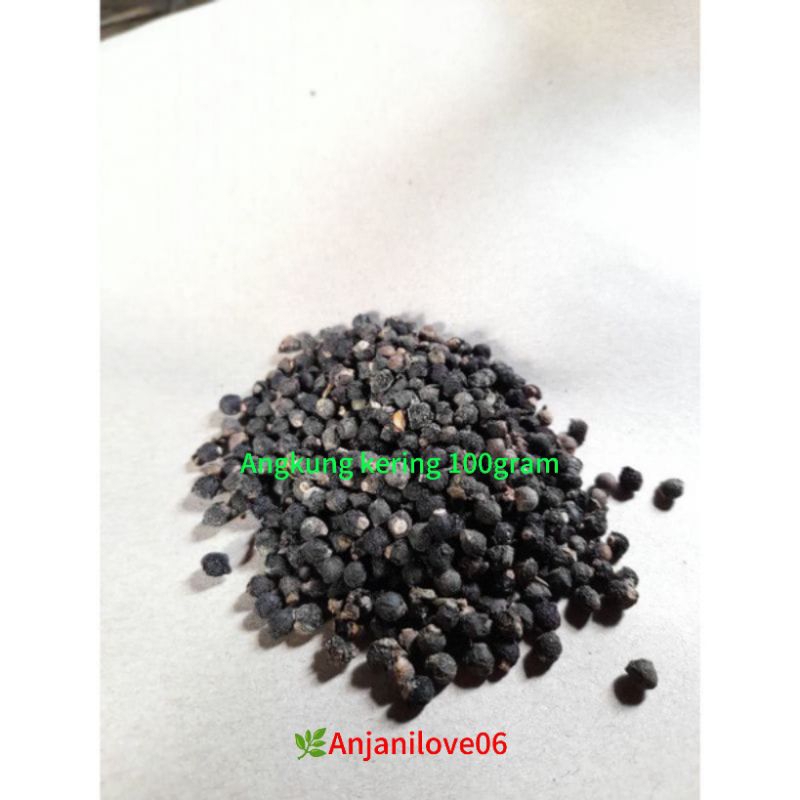 

BUAH ANGKUNG KERING 100GRAM