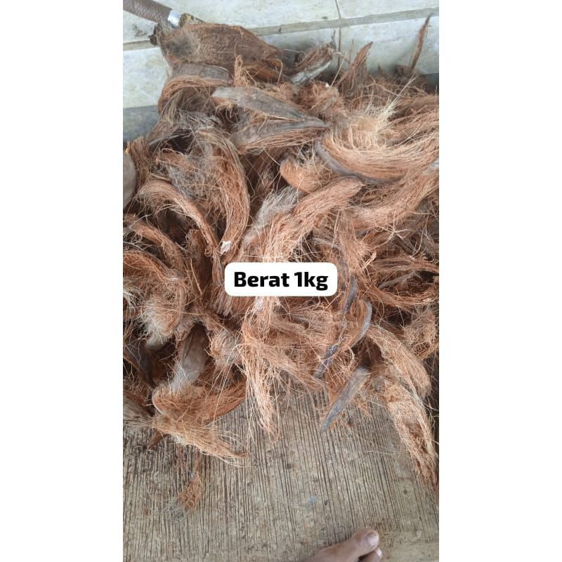 Sabut Kelapa Serabut Kelapa Media Tanam Anggrek