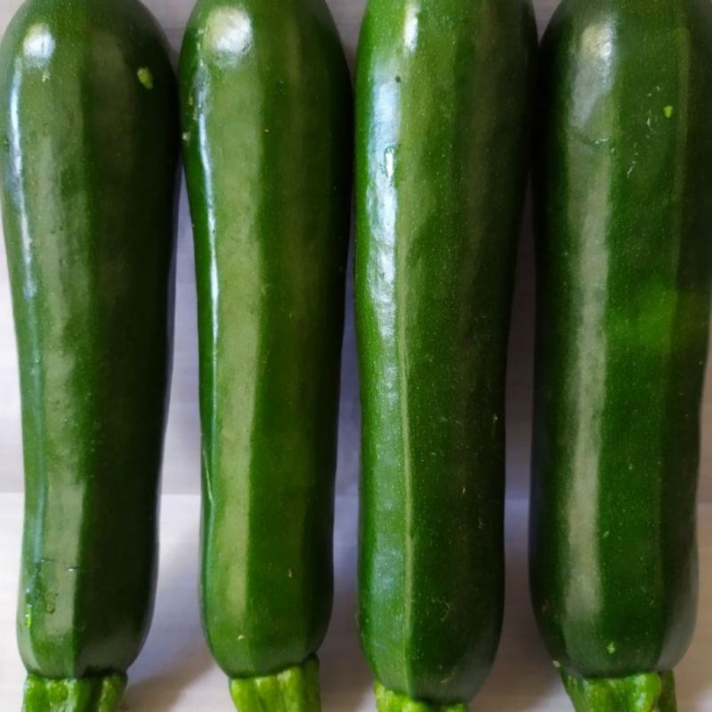 

cukini berat 1kg